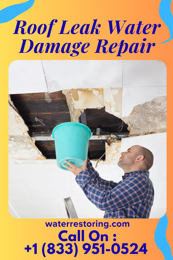 Roof Leak Water Damage Repair in Van Tassell, WY